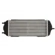 Intercooler, échangeur THERMOTEC DA03006TT - Visuel 2