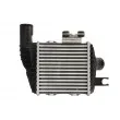 Intercooler, échangeur THERMOTEC DA05008TT - Visuel 2