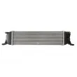 Intercooler, échangeur THERMOTEC DA05012TT - Visuel 2