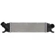 Intercooler, échangeur THERMOTEC DA05013TT - Visuel 1