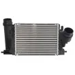 Intercooler, échangeur THERMOTEC DA1009TT - Visuel 1