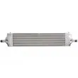 Intercooler, échangeur THERMOTEC DA1010TT - Visuel 2