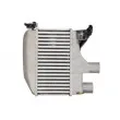 Intercooler, échangeur THERMOTEC DA2003TT - Visuel 1