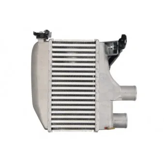 Intercooler, échangeur THERMOTEC DA2003TT