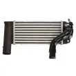 Intercooler, échangeur THERMOTEC DA2005TT - Visuel 2