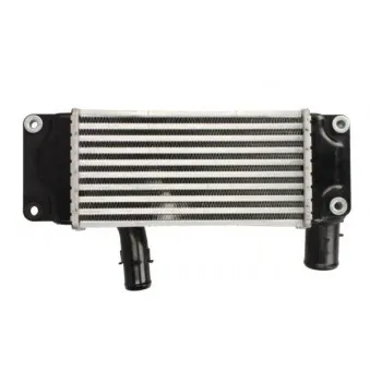 Intercooler, échangeur THERMOTEC DA2006TT