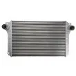Intercooler, échangeur THERMOTEC DA2010TT - Visuel 1