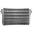 Intercooler, échangeur THERMOTEC DA2010TT - Visuel 2