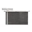 Intercooler, échangeur THERMOTEC DAA021TT - Visuel 1