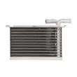 Intercooler, échangeur THERMOTEC DAA021TT - Visuel 2
