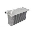 Intercooler, échangeur THERMOTEC DAA021TT - Visuel 3