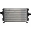 Intercooler, échangeur THERMOTEC DAA022TT - Visuel 1