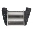 Intercooler, échangeur THERMOTEC DAA023TT - Visuel 1