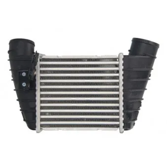 Intercooler, échangeur THERMOTEC DAA023TT