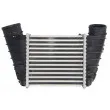 Intercooler, échangeur THERMOTEC DAA023TT - Visuel 2