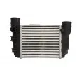 Intercooler, échangeur THERMOTEC DAA025TT - Visuel 1
