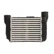 Intercooler, échangeur THERMOTEC DAA025TT - Visuel 2