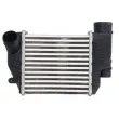 Intercooler, échangeur THERMOTEC DAA026TT - Visuel 1
