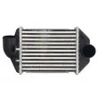 Intercooler, échangeur THERMOTEC DAA028TT - Visuel 1