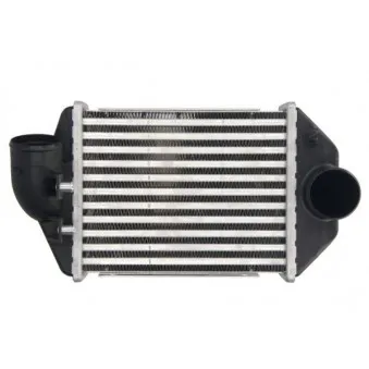 Intercooler, échangeur THERMOTEC DAA028TT