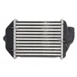 Intercooler, échangeur THERMOTEC DAA028TT - Visuel 2