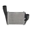 Intercooler, échangeur THERMOTEC DAA029TT - Visuel 1