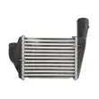 Intercooler, échangeur THERMOTEC DAA029TT - Visuel 2