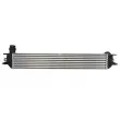 Intercooler, échangeur THERMOTEC DAB018TT - Visuel 2