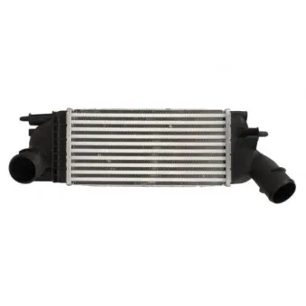 Intercooler, échangeur THERMOTEC DAC014TT