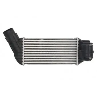 Intercooler, échangeur THERMOTEC DAC017TT
