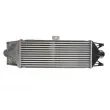 Intercooler, échangeur THERMOTEC DAE002TT - Visuel 2