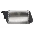 Intercooler, échangeur THERMOTEC DAF009TT - Visuel 2