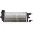 Intercooler, échangeur THERMOTEC DAF010TT - Visuel 2