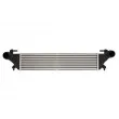 Intercooler, échangeur THERMOTEC DAF011TT - Visuel 1