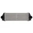 Intercooler, échangeur THERMOTEC DAG021TT - Visuel 1