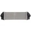 Intercooler, échangeur THERMOTEC DAG021TT - Visuel 2