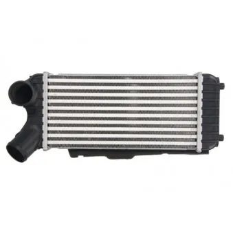 Intercooler, échangeur THERMOTEC DAG024TT