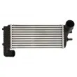 Intercooler, échangeur THERMOTEC DAG025TT - Visuel 1