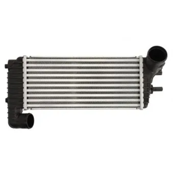 Intercooler, échangeur THERMOTEC DAG025TT