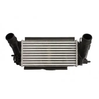 Intercooler, échangeur THERMOTEC DAG029TT