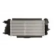 Intercooler, échangeur THERMOTEC DAG029TT - Visuel 2