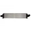 Intercooler, échangeur THERMOTEC DAG030TT - Visuel 1