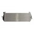Intercooler, échangeur THERMOTEC DAI003TT - Visuel 2