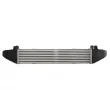 Intercooler, échangeur THERMOTEC DAM022TT - Visuel 2