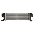 Intercooler, échangeur THERMOTEC DAM023TT - Visuel 2