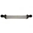 Intercooler, échangeur THERMOTEC DAM024TT - Visuel 1