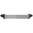Intercooler, échangeur THERMOTEC DAM024TT - Visuel 2