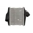 Intercooler, échangeur THERMOTEC DAM027TT - Visuel 1