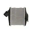 Intercooler, échangeur THERMOTEC DAM027TT - Visuel 2