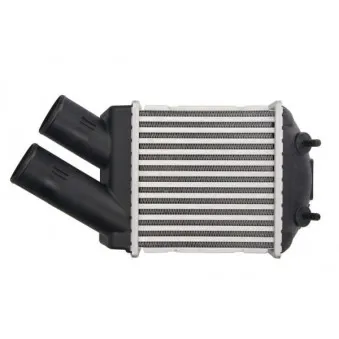 Intercooler, échangeur THERMOTEC DAR001TT